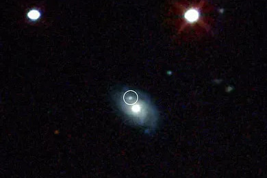 19 - SN2006dk